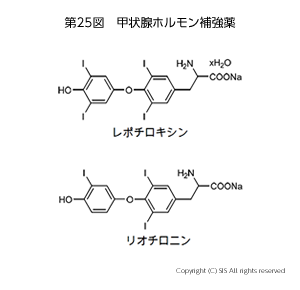 甲状腺ホルモン補強薬
